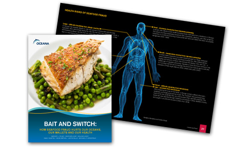 DPI Helps Oceana Get the Word Out on Seafood Fraud.